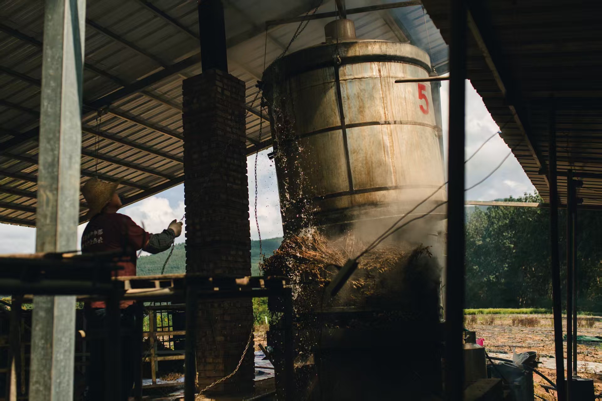 雨林芳产品系列